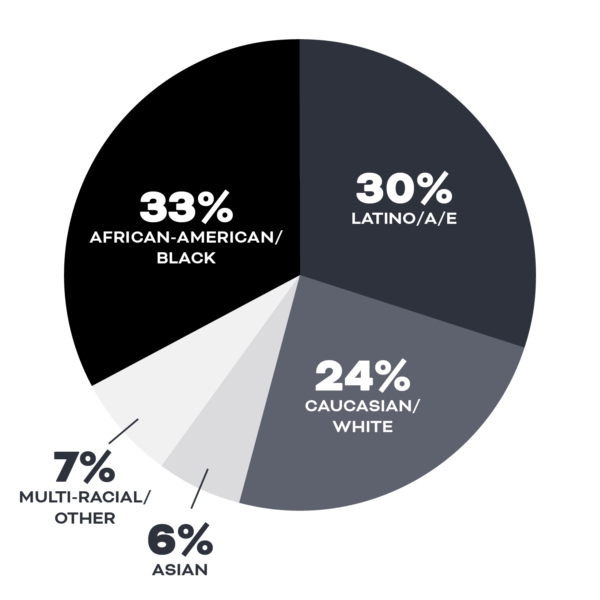 FY25 diversity pie chart