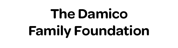 Damicofamilyfoundation